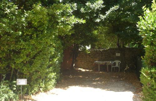 La villa des fleurs - Foto 57