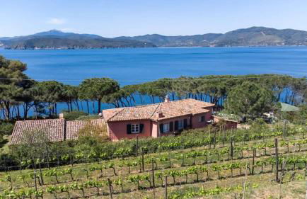 Pool Villa Morcone by Villaflair - Foto 1