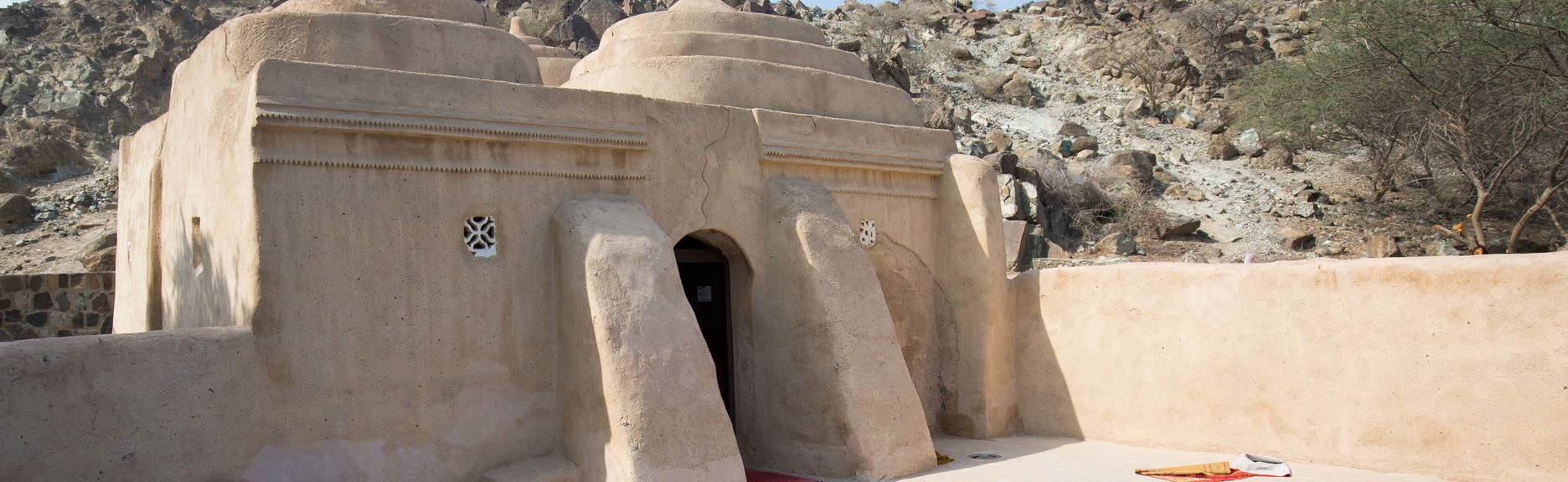 Excursión por la costa este de los Emiratos Árabes