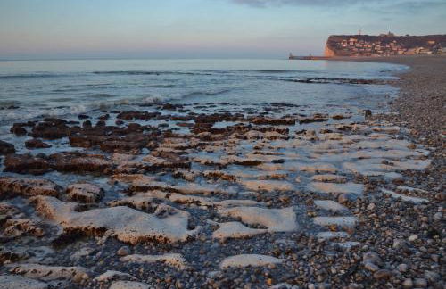 Les Jardins de la Béné - Foto 19
