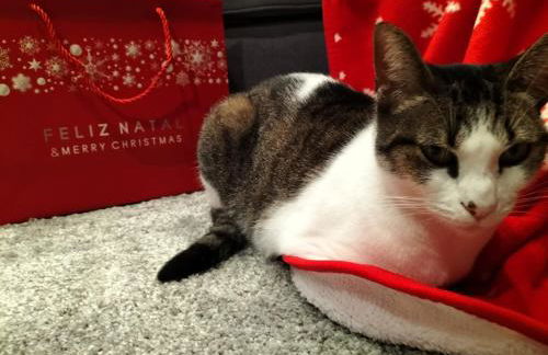 Casa da Aldeia - Foto 42