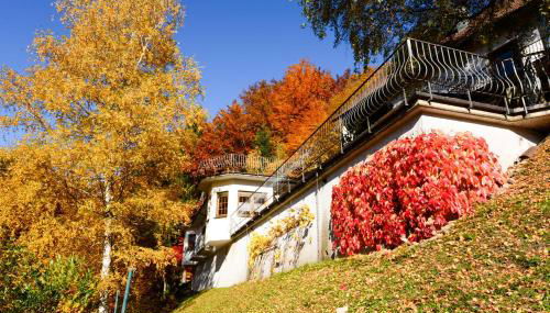 Café Pension Waldfrieden - Foto 3