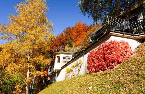 Café Pension Waldfrieden - Foto 3