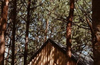 Domek SzumiSosna1 - Foto 23