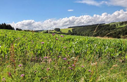 Amazing Apartment In Irrhausen With Wifi - Foto 34