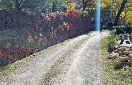 Ca ed Giuanoto - Photo 18