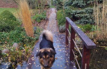 Domek blisko granicy u Darka - Photo 4