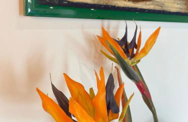 Michelangiolo Appartment - Foto 53