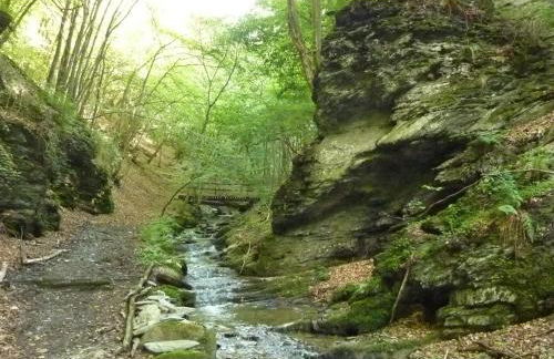 Ferien im Hunsrück - Foto 22