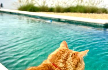 LAS DUNAS Caves - Olivo - Foto 23