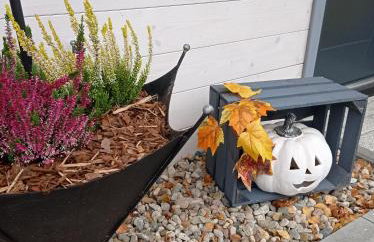 Całoroczny Ośrodek Wypoczynkowy COMFORT HOUSE - Foto 56