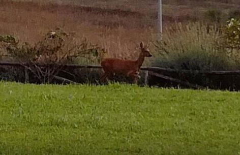 La Dimora di Teresa - Photo 21