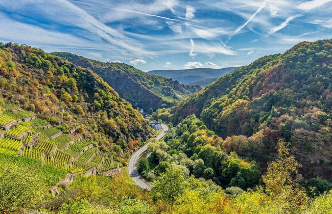 Holiday Home Eifel With Pool - Foto 21