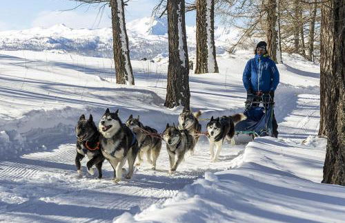 Pista Olimpica 1min - Ski Box - Seggiovia 3min - Foto 29