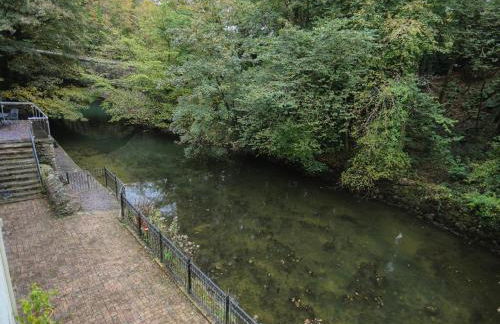 Melin y Coed - Foto 30