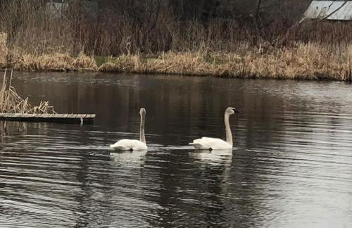Lake Front Home with Pool and Stunning Views - Foto 11