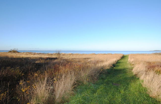 "Elis" - 90m to the fjord - Foto 12