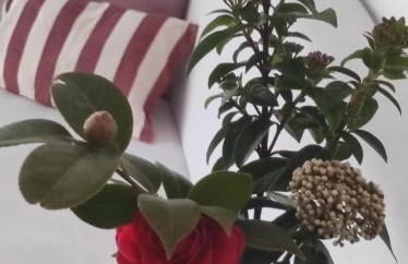 Apartamentos Atenea Jerte - Foto 39