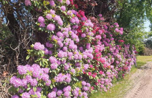 Ferienwohnung Kaminzimmer - Foto 25