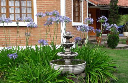 Toca - Bairro Serrano - Foto 56