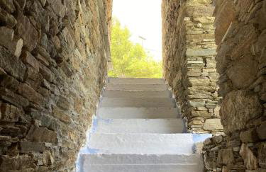 Andros Vineyard house with sea view - Foto 23