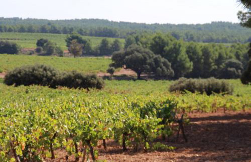 Hotel rural Entreviñas - Foto 53