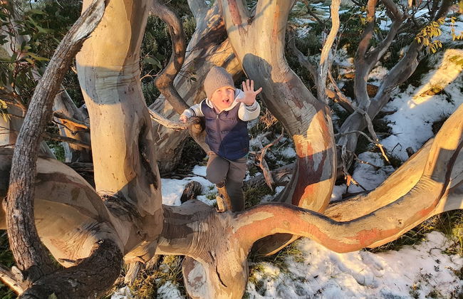 SNOWED INN apartment - Photo 31