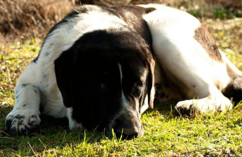 Quinta do Chãozinho - Foto 22