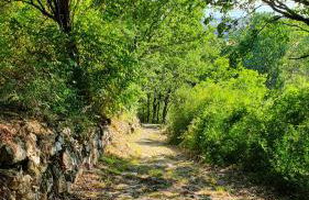 HURZ - Giardino Sannita - Photo 78