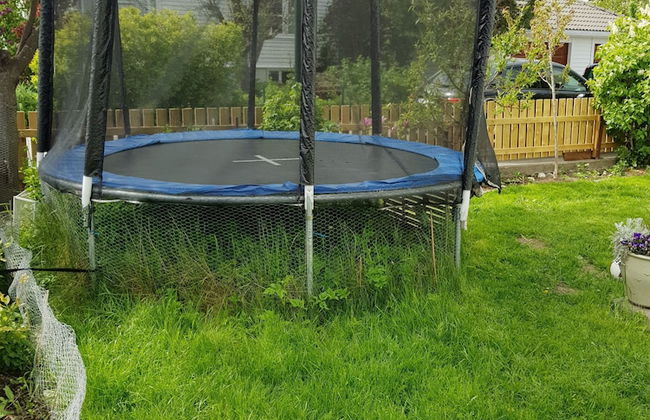 Solferie Holiday Apartment Tors gate - Photo 50