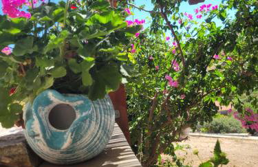 Emma's HOUSE near beach - Foto 6