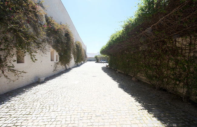 CV C - Salinas - Convento das Bernardas - Foto 3