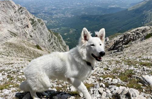 Rifugio Futopia - start here your journey to the discovering of the Alpi Graie - Foto 57