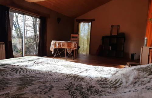 Loft indépendant en bord de Tarn - Photo 3