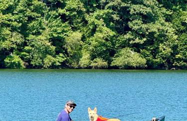 Escape to Tree House Island Life - Foto 40