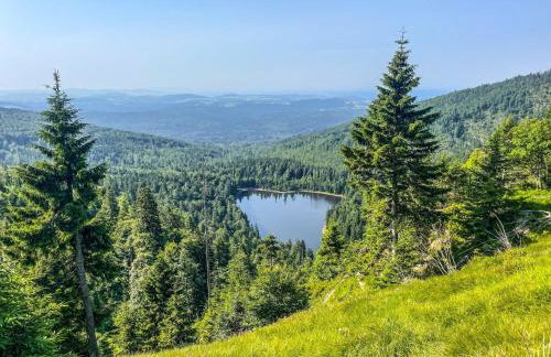 Apartment Landhaus Wildfeuer by Interhome - Foto 43