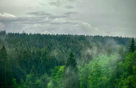 Ferienwohnung Harzurlaub - Photo 58