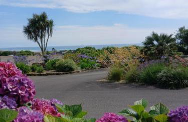 Les hortensias de papy - Foto 6