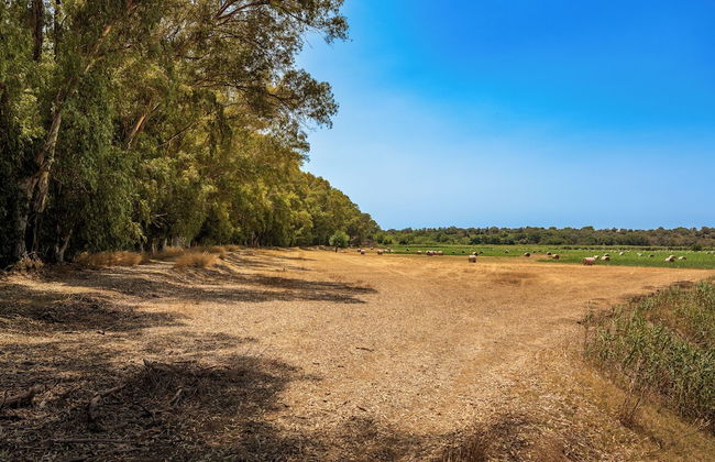 Sogno di Giove by Wonderful Italy - Foto 32