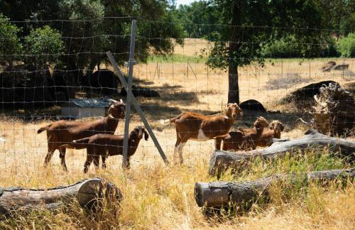 Ranch Stay-A 240 acre Working Ranch - Foto 67