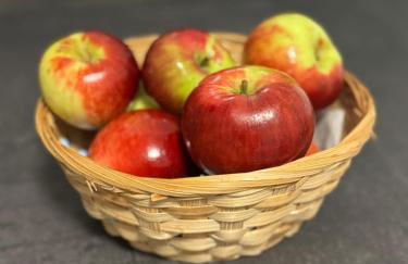 Wohlfühloase Berlin Mahlsdorf - Photo 21