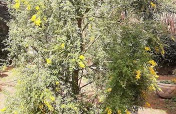 Il Fienile in Toscana A warm interior just a few minutes from the beach - Foto 43