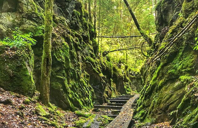 4 Person Holiday Home in Mullhyttan - Foto 13