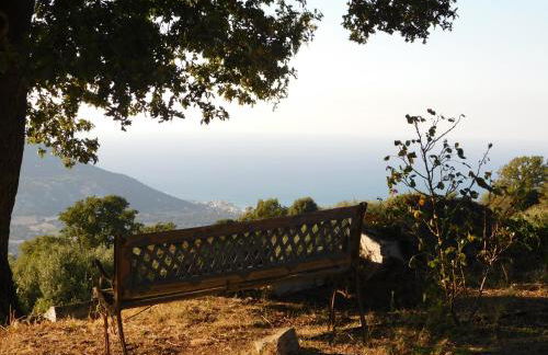 Domaine Victoria - Foto 30