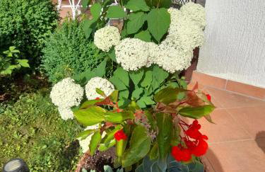 Studio appartman Iva - Photo 6