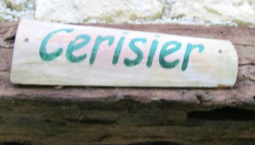 Appartement chaleureux à Blaignac avec piscine partagée - 55 m² - Foto 5