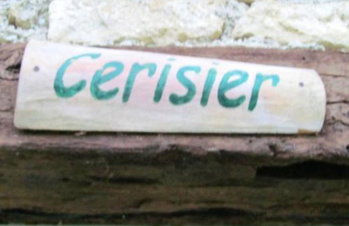 Appartement chaleureux à Blaignac avec piscine partagée - 55 m² - Foto 5