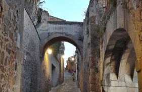 DIANA JARDÍN - Foto 28