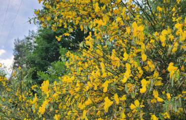 Ranczo na Kaszubach - Foto 9