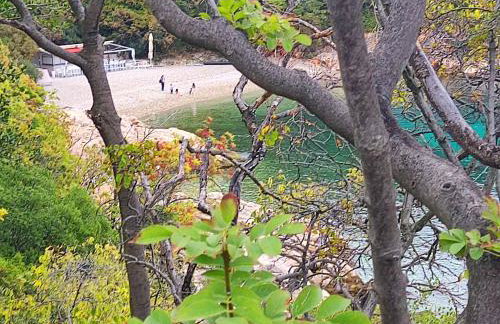 Apartman Pelcic,with WiFi and free parking - Foto 23